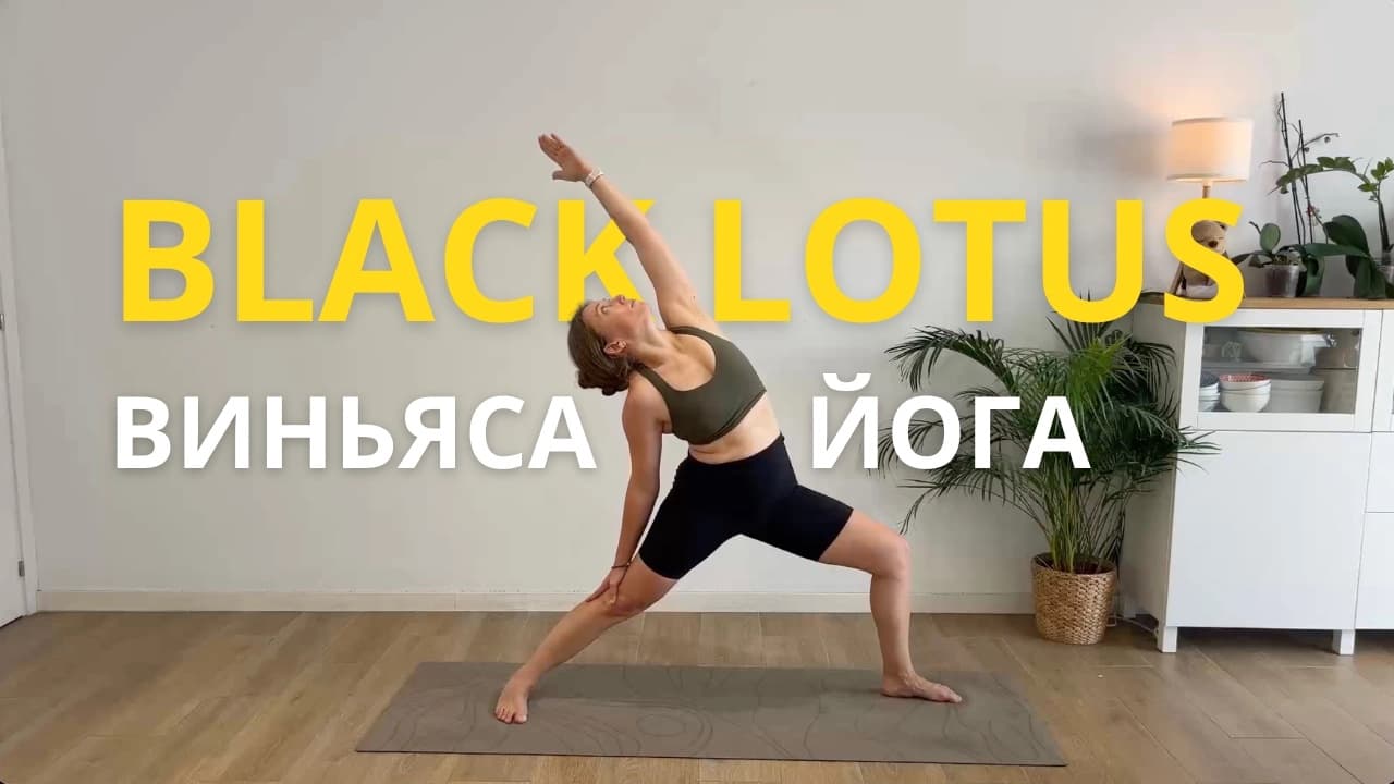Виньяса йога Black Lotus Light
